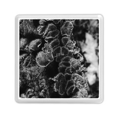 Tree Fungus Branch Vertical High Contrast Memory Card Reader (square) by okhismakingart