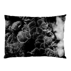 Tree Fungus Branch Vertical High Contrast Pillow Case (two Sides) by okhismakingart