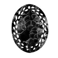 Tree Fungus Branch Vertical High Contrast Ornament (oval Filigree) by okhismakingart