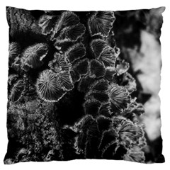 Tree Fungus Branch Vertical High Contrast Large Cushion Case (one Side) by okhismakingart