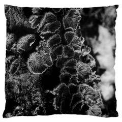 Tree Fungus Branch Vertical High Contrast Standard Flano Cushion Case (one Side) by okhismakingart