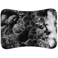 Tree Fungus Branch Vertical High Contrast Velour Seat Head Rest Cushion by okhismakingart