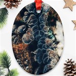 Tree Fungus Branch Vertical Ornament (Oval) Front