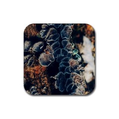 Tree Fungus Branch Vertical Rubber Coaster (square)  by okhismakingart