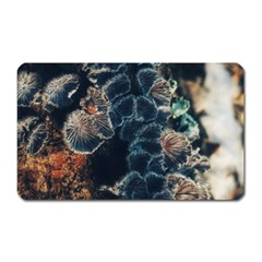 Tree Fungus Branch Vertical Magnet (rectangular) by okhismakingart