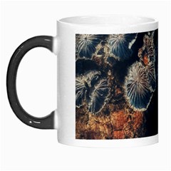 Tree Fungus Branch Vertical Morph Mugs by okhismakingart