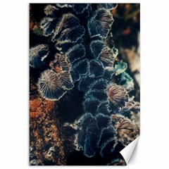 Tree Fungus Branch Vertical Canvas 12  X 18  by okhismakingart