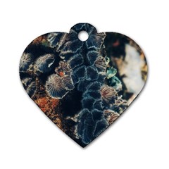 Tree Fungus Branch Vertical Dog Tag Heart (one Side) by okhismakingart