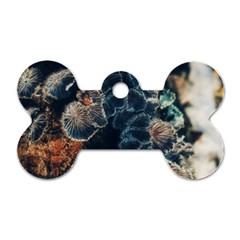 Tree Fungus Branch Vertical Dog Tag Bone (two Sides) by okhismakingart