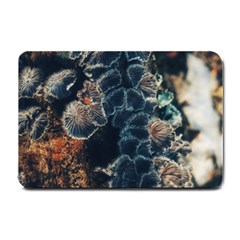 Tree Fungus Branch Vertical Small Doormat  by okhismakingart