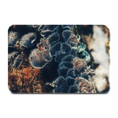 Tree Fungus Branch Vertical Plate Mats by okhismakingart