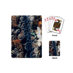 Tree Fungus Branch Vertical Playing Cards (mini) by okhismakingart