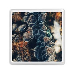 Tree Fungus Branch Vertical Memory Card Reader (square) by okhismakingart