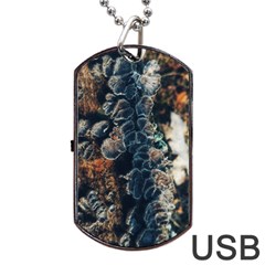 Tree Fungus Branch Vertical Dog Tag Usb Flash (one Side) by okhismakingart