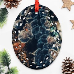 Tree Fungus Branch Vertical Ornament (oval Filigree) by okhismakingart