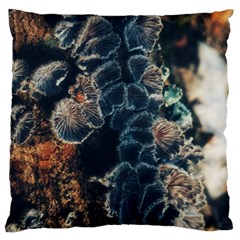 Tree Fungus Branch Vertical Large Cushion Case (two Sides) by okhismakingart