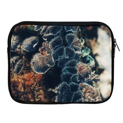 Tree Fungus Branch Vertical Apple Ipad 2/3/4 Zipper Cases by okhismakingart