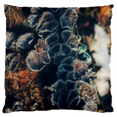 Tree Fungus Branch Vertical Standard Flano Cushion Case (two Sides) by okhismakingart