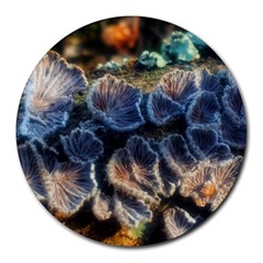 Tree Fungus Branch Round Mousepads by okhismakingart