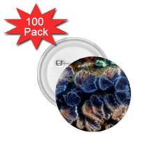 Tree Fungus Branch 1 75  Buttons (100 Pack)  by okhismakingart