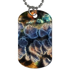 Tree Fungus Branch Dog Tag (one Side) by okhismakingart