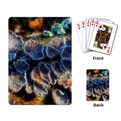 Tree Fungus Branch Playing Cards Single Design by okhismakingart