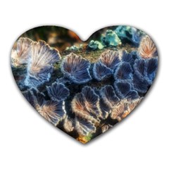 Tree Fungus Branch Heart Mousepads by okhismakingart