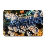 Tree Fungus Branch Small Doormat  24 x16  Door Mat