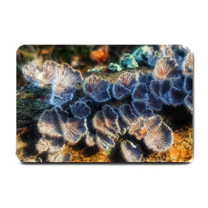 Tree Fungus Branch Small Doormat 