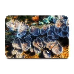 Tree Fungus Branch Plate Mats by okhismakingart