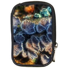 Tree Fungus Branch Compact Camera Leather Case by okhismakingart