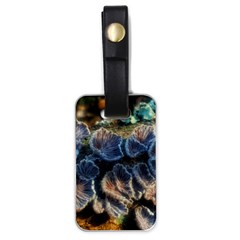 Tree Fungus Branch Luggage Tags (one Side)  by okhismakingart