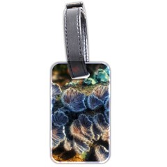 Tree Fungus Branch Luggage Tags (two Sides) by okhismakingart