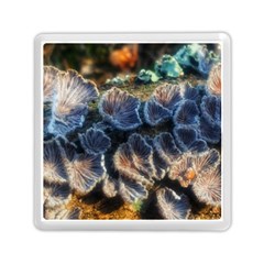 Tree Fungus Branch Memory Card Reader (square) by okhismakingart