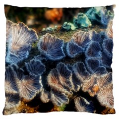 Tree Fungus Branch Standard Flano Cushion Case (two Sides) by okhismakingart