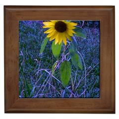 Blue Sunflower Framed Tiles by okhismakingart