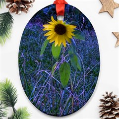 Blue Sunflower Ornament (oval) by okhismakingart