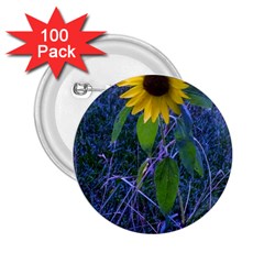 Blue Sunflower 2 25  Buttons (100 Pack)  by okhismakingart