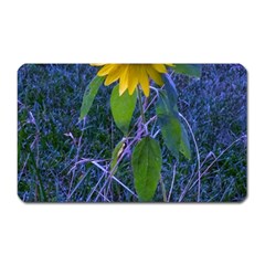 Blue Sunflower Magnet (rectangular) by okhismakingart