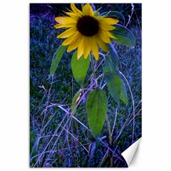 Blue Sunflower Canvas 12  X 18  by okhismakingart