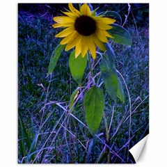 Blue Sunflower Canvas 16  X 20  by okhismakingart