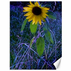 Blue Sunflower Canvas 36  X 48  by okhismakingart