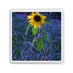 Blue Sunflower Memory Card Reader (square) by okhismakingart