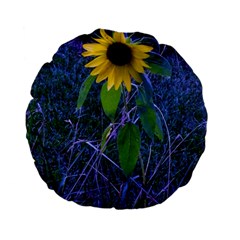 Blue Sunflower Standard 15  Premium Flano Round Cushions by okhismakingart