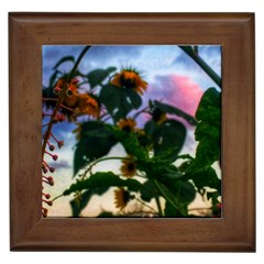 Sunflowers And Wild Weeds Framed Tiles by okhismakingart