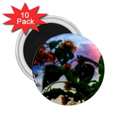 Sunflowers And Wild Weeds 2 25  Magnets (10 Pack)  by okhismakingart