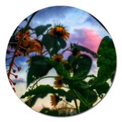 Sunflowers And Wild Weeds Magnet 5  (round) by okhismakingart