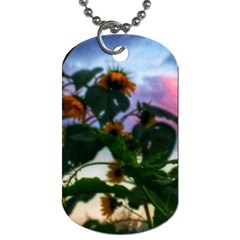 Sunflowers And Wild Weeds Dog Tag (one Side) by okhismakingart