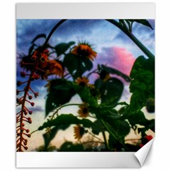 Sunflowers And Wild Weeds Canvas 8  X 10  by okhismakingart