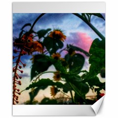 Sunflowers And Wild Weeds Canvas 16  X 20  by okhismakingart